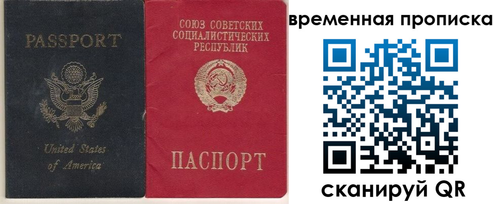 прописка для школы в Шали